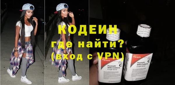 индика Новоузенск