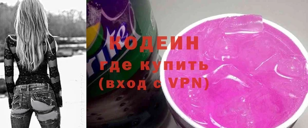 индика Новоузенск