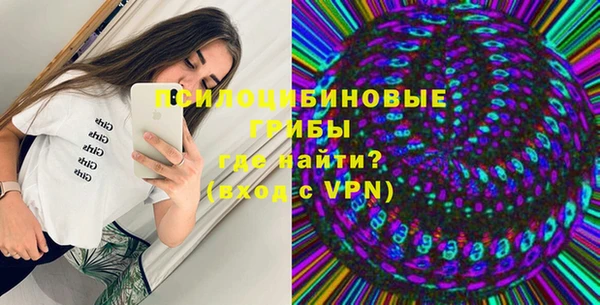 apvp Ельня