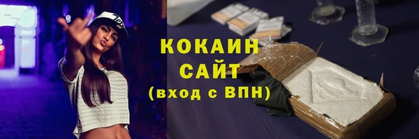 соль ск Няндома
