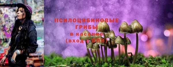 PSILOCYBIN Елабуга