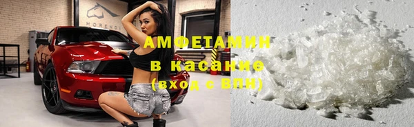 гашик Снежногорск
