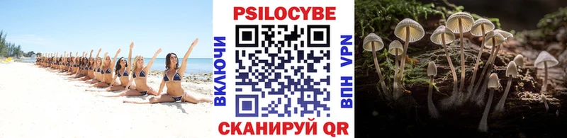 hydra tor  Сорск  Галлюциногенные грибы GOLDEN TEACHER 